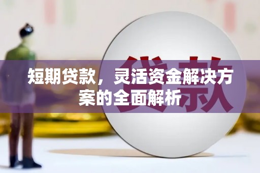 大埤短期贷款，灵活资金解决方案的全面解析