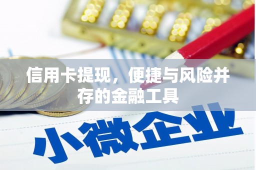 大埤信用卡提现，便捷与风险并存的金融工具