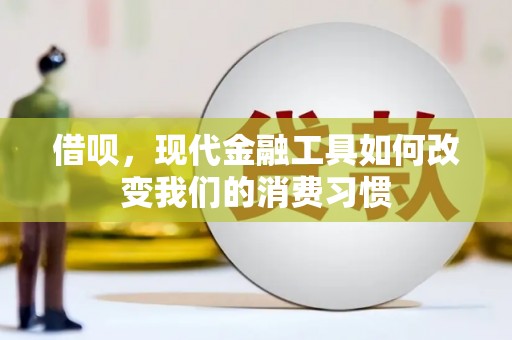 大埤借呗，现代金融工具如何改变我们的消费习惯