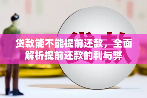 大埤贷款能不能提前还款，全面解析提前还款的利与弊