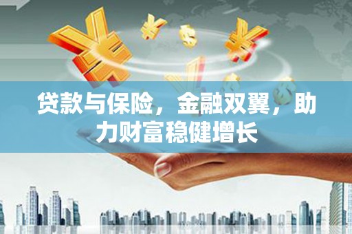 大埤贷款与保险，金融双翼，助力财富稳健增长