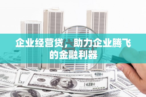 大埤企业经营贷，助力企业腾飞的金融利器