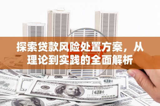 大埤探索贷款风险处置方案，从理论到实践的全面解析