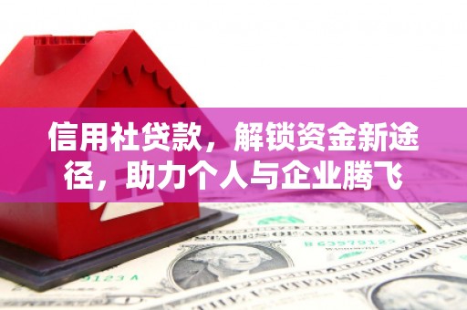 大埤信用社贷款，解锁资金新途径，助力个人与企业腾飞