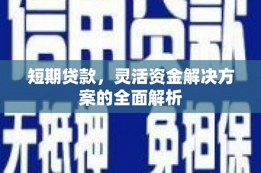 大埤短期贷款，灵活资金解决方案的全面解析
