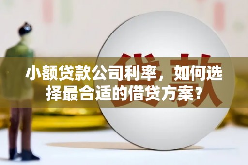 大埤小额贷款公司利率，如何选择最合适的借贷方案？