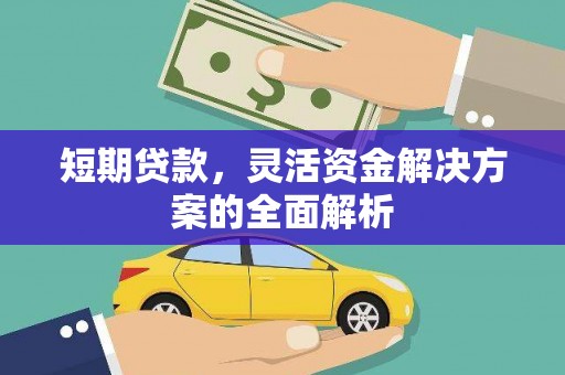 大埤短期贷款，灵活资金解决方案的全面解析