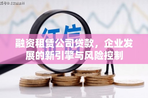 大埤融资租赁公司贷款，企业发展的新引擎与风险控制