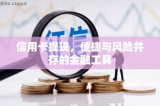 大埤信用卡提现，便捷与风险并存的金融工具