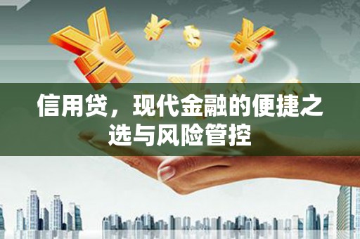大埤信用贷，现代金融的便捷之选与风险管控