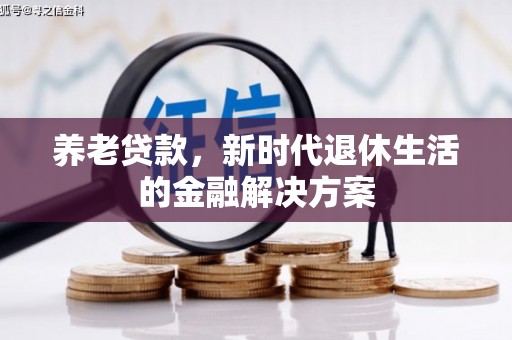 大埤养老贷款，新时代退休生活的金融解决方案