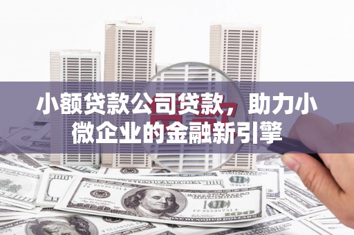 大埤小额贷款公司贷款，助力小微企业的金融新引擎