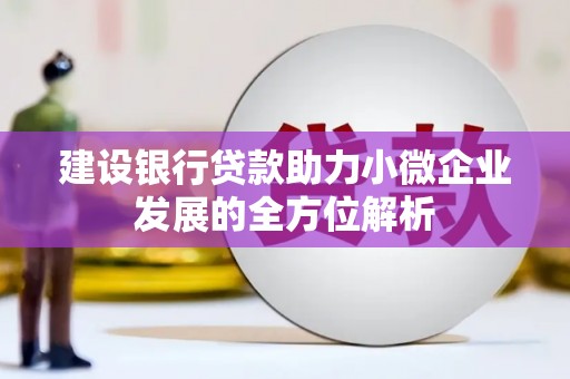 大埤建设银行贷款助力小微企业发展的全方位解析