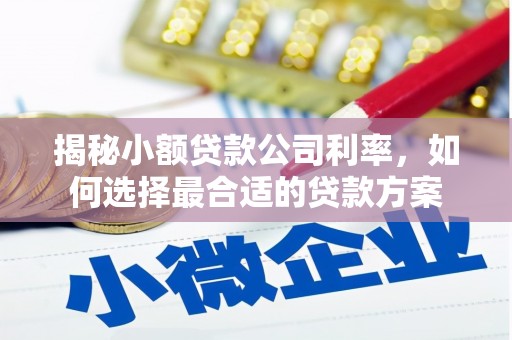 大埤揭秘小额贷款公司利率，如何选择最合适的贷款方案