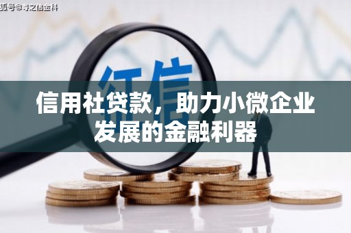 大埤信用社贷款，助力小微企业发展的金融利器