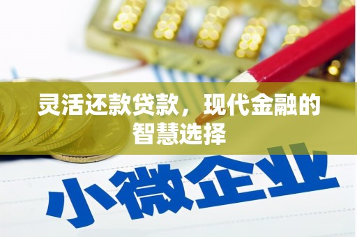 大埤灵活还款贷款，现代金融的智慧选择