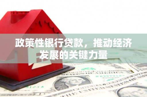 大埤政策性银行贷款，推动经济发展的关键力量