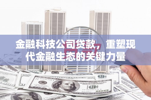 大埤金融科技公司贷款，重塑现代金融生态的关键力量