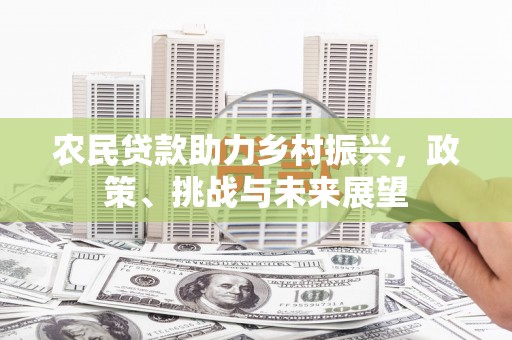 大埤农民贷款助力乡村振兴，政策、挑战与未来展望