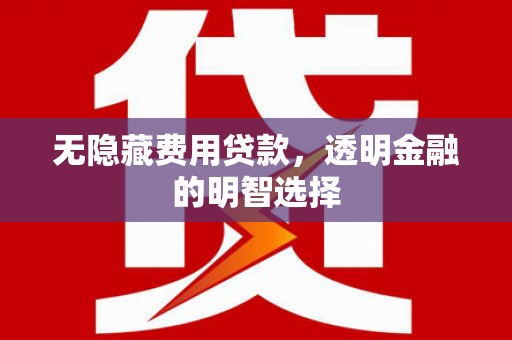 大埤无隐藏费用贷款，透明金融的明智选择