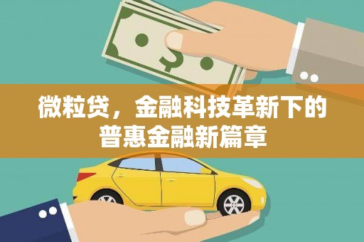 大埤微粒贷，金融科技革新下的普惠金融新篇章