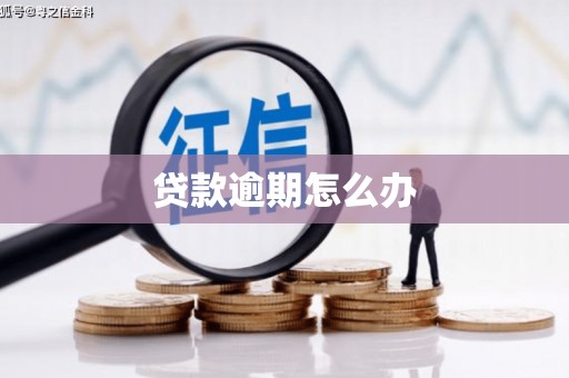大埤贷款逾期怎么办
