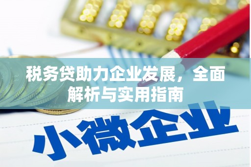 大埤税务贷助力企业发展，全面解析与实用指南