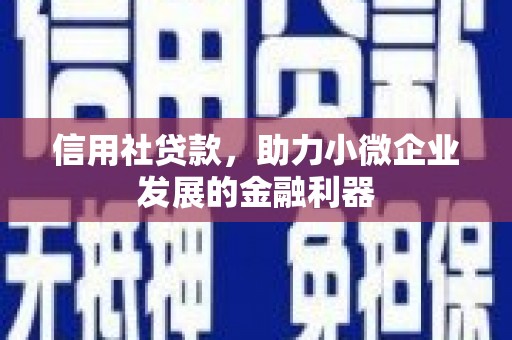 大埤信用社贷款，助力小微企业发展的金融利器