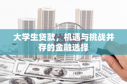 大埤大学生贷款，机遇与挑战并存的金融选择
