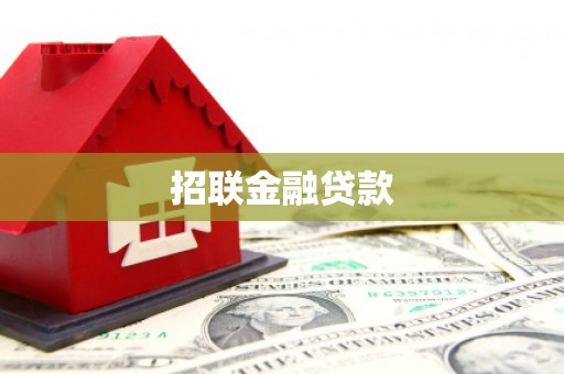 大埤招联金融贷款