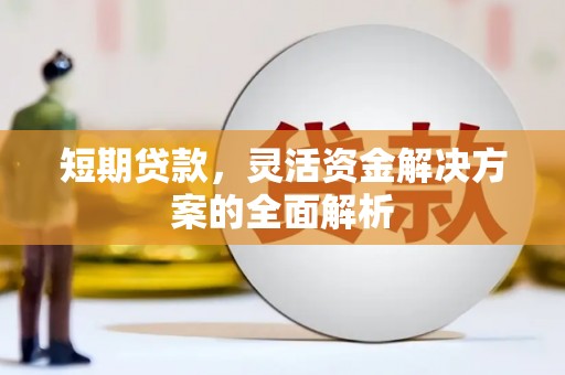 大埤短期贷款，灵活资金解决方案的全面解析