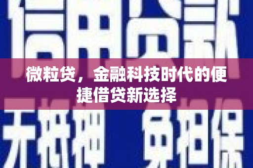大埤微粒贷，金融科技时代的便捷借贷新选择