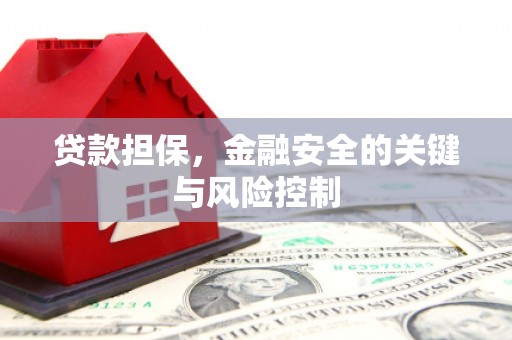 大埤贷款担保，金融安全的关键与风险控制