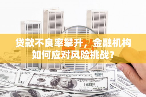 大埤贷款不良率攀升，金融机构如何应对风险挑战？