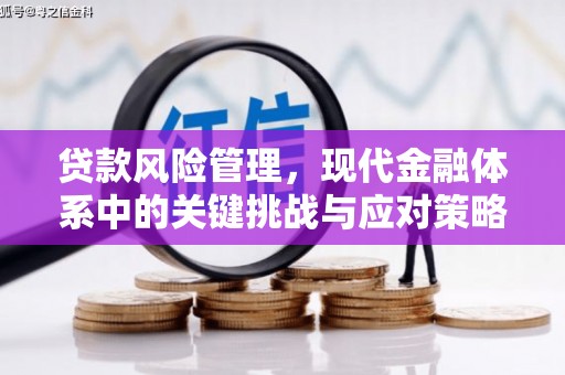 大埤贷款风险管理，现代金融体系中的关键挑战与应对策略