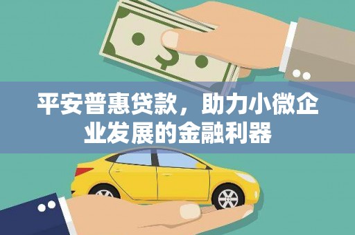 大埤平安普惠贷款，助力小微企业发展的金融利器