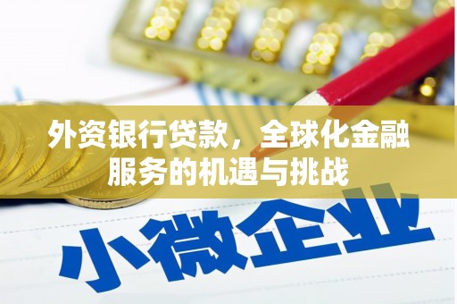 大埤外资银行贷款，全球化金融服务的机遇与挑战