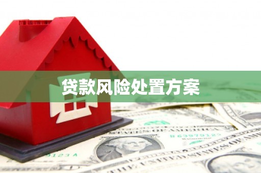 大埤贷款风险处置方案