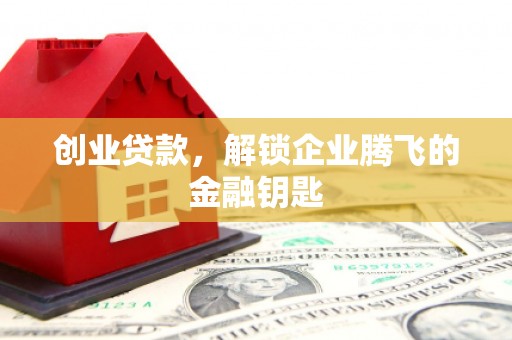 大埤创业贷款，解锁企业腾飞的金融钥匙