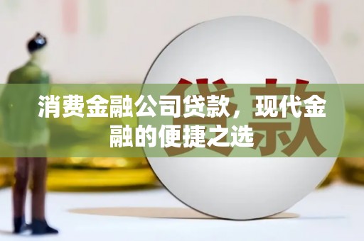 大埤消费金融公司贷款，现代金融的便捷之选