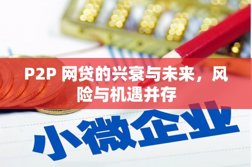 大埤P2P 网贷的兴衰与未来，风险与机遇并存