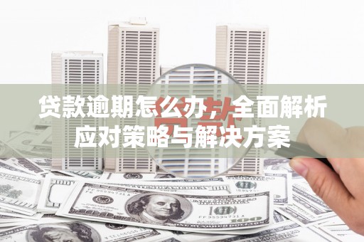大埤贷款逾期怎么办，全面解析应对策略与解决方案