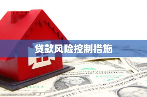 大埤贷款风险控制措施