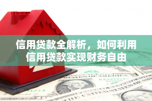 大埤信用贷款全解析，如何利用信用贷款实现财务自由